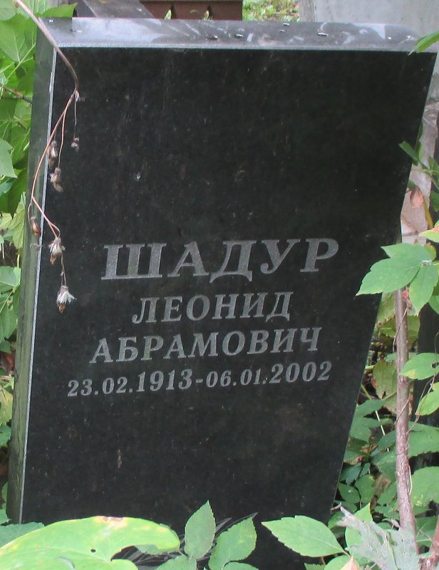 Могила Шадура Леонида.